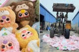 Tiêu hủy gần 2.000 con Baby Three chứa Formaldehyde vượt mức cho phép: Chất này nguy hiểm như thế nào?