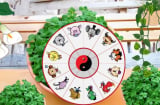 Chọn Cây cảnh Phong thủy cho 12 Shbet888.com nhà cái uy tín, Cây hợp Tuổi để Thu hút Tài Lộc, Gánh Vàng Hốt Bạc Giàu sang