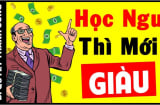 Vì sao nhiều người học dốt lại rất thành công trong Shbet16 chơi game trực tuyến: Hóa ra họ thông minh hơn bạn nghĩ