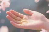 Những thay đổi này bất ngờ xuất hiện trên tay bạn? Xin chúc mừng, vận may giàu có sắp đến