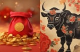 4 Shbet888.com nhà cái uy tín không chỉ giỏi kiếm tiền mà còn biết cách giữ tiền, sau tuổi 45 giàu như vũ bão