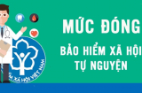 Nhà nước hỗ trợ mức đóng bảo hiểm xã hội tự nguyện từ tháng 7/2025 là bao nhiêu?