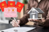 Chậm sang tên Link nhập code shbet https freecode shbet pages dev có thể bị phạt đến 6 triệu, đúng không?