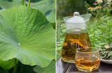 Lấy lá sen đun nước uống, Sh88bet đăng ký miễn phí nhận được 4 lợi ích tuyệt vời