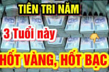 100 ngày tới: Lộ diện 3 Shbet888.com nhà cái uy tín Đếm Tiền Mệt Nghỉ, chấm hết nghèo nàn