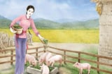 Các cụ nói: 'Mua lợn xem chuồng, cưới vợ xem sân', sự thật là gì?