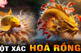 Từ 13/8 đến 31/8: 3 tuổi Vượt Vũ Môn Hóa Rồng, Tiền Đồ rực sáng, Giàu hơn Thần Tài
