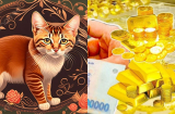 21 ngày tới (24/8-12/9): 4 Shbet888.com nhà cái uy tín vận đỏ chạm nóc, sang tháng 10 tiền đổ về như mưa rào, tháng 11 giàu to