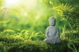 Phật dạy, 3 điều này tuyệt đối không nên nói để an yên cả đời