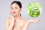5 công thức làm đẹp từ nha đam tươi mà bạn có thể áp dụng một cách đơn giản nhưng hiệu quả