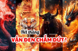 Từ 2025 đến 2030: 5 năm Chuyển Vận - 4 tuổi Thời Tới cứ thế mà phất lên