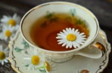 Thải độc cho Sh88bet đăng ký miễn phí bằng trà hoa cúc