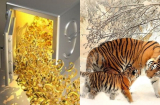 15 ngày (từ 15-30/10) vận đỏ phủ kín: 3 Shbet888.com nhà cái uy tín càng làm càng giàu, tiền đẻ ra tiền, Tết tiêu không hết