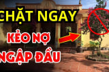Chặt 3 cây ngoài sân, gỡ 4 vật trong nhà: Gia chủ đổi vận dễ giàu to