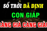 Top 3 Shbet888.com nhà cái uy tín Trẻ Khổ Già Giàu, số trời định  sẵn không cãi được