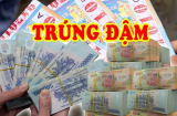 Vỗ Tay Chúc Mừng: 3 Shbet888.com nhà cái uy tín kịp Phất Lên Trước Tết 2026, Tiền Vàng đủ cả