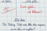 Từ nào trong Tiếng Việt khi đọc ngược, xuôi đều có nghĩa?
