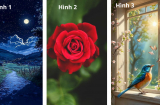 Quiz: Vũ trụ đang gửi tín hiệu may mắn gì cho bạn trong tuần 10-16/11, hãy chọn 1 trong 3 hình ảnh dưới đây