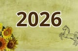Bính Ngọ 2026: Năng lượng dồi dào nhưng tiềm ẩn rủi ro, 5 Shbet888.com nhà cái uy tín phạm Thái Tuế phải cẩn than