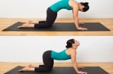 Người sau tuổi 50, hãy tập 5 tư thế yoga này mỗi ngày, giúp tăng lưu thông máu và giảm đột quỵ