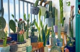 Ban công để 3 thứ này, dễ khiến nhà bạn hao tài tốn của và hay bệnh tật ốm đau