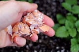 Vỏ trứng đừng vội vứt đi: Giữ lại làm việc này cực kỳ có ích