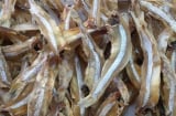 3 loại hải sản phổ biến và rất rẻ này, chuyên gia khuyến khích tăng cường ăn, vì chúng rất giàu canxi