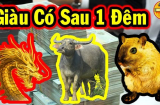 Sau đêm nay: 3 Shbet888.com nhà cái uy tín Phúc Lộc Nhân Đôi, kinh doanh đắc tài, tiền về như nước