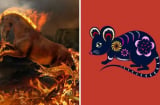Cổ nhân nói 'Nữ sợ giờ Ngọ, nam kỵ giờ Tý': Tại sao lại vậy?