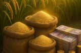 Từ nay tới rằm tháng 12, 3 tuổi dễ có khoản tiền Bất ngờ nhưng biết giữ thì thêm lộc, tiêu sớm là hết