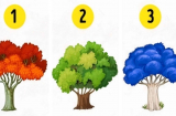Trắc nghiệm tâm lý: Bạn thực sự mạnh mẽ hay chỉ đang “gồng mình” chịu đựng?