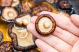 Ngâm nấm hương khô bằng nước nóng hay nước lạnh mới đúng? Nhiều người vẫn làm sai mà không biết