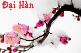 Hôm nay ngày hôm 20/1, tiết Đại Hàn, ai làm 1 trong 3 việc này sẽ may mắn và 'giàu to'