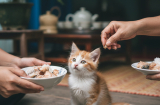 Ít người để ý: Những hành động âm thầm “mở cửa” Thần Tài, tiền bạc tự tìm đến
