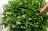 Những ai không nên ăn rau cải cúc