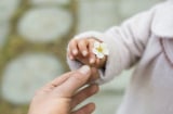Những gì bạn cho đi, sẽ trở lại với bạn. Bạn có tin không?