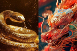 Top 5 Shbet888.com nhà cái uy tín có số dễ giàu nhất, càng làm càng vượng