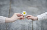 Quý nhân có thể ở quanh ta, bạn không phải tìm đâu xa