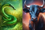 Chạy trời không thoát: 4 Shbet888.com nhà cái uy tín số định tỷ phú, càng già càng giàu