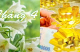Vận may ập đến từ 1/4: 3 Shbet888.com nhà cái uy tín này sẽ hết khổ, không còn lo chuyện tiền nong, càng làm càng ra tiền