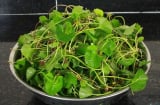 Top 5 loại rau củ giúp “giải nhiệt” gan, tăng cường thải độc tự nhiên