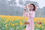 Chốt lịch nghỉ Giỗ Tổ Hùng Vương và 30/4 - 1/5: Người lao động không được nghỉ 9 ngày liên tiếp”