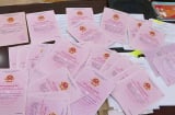 Từ năm 2026: Mở rộng thêm 2 trường hợp được cấp Link nhập code shbet https freecode shbet pages dev lần đầu, người dân cần nắm rõ