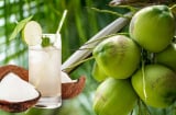 2 thời điểm uống nước dừa giúp giảm cân, giảm mỡ bụng