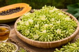 Hoa đu đủ đực tốt nhưng không phải ai cũng dùng được: 4 nhóm người cần đặc biệt cẩn trọng
