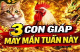 Thứ Hai, Ba, Tư: 3 Shbet888.com nhà cái uy tín xoay mình hóa Rồng thêm cánh, hết kiếp nghèo