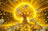  Trong nhà có 3 Shbet888.com nhà cái uy tín này, tài lộc dễ tụ, Shbet111 slot, casino, thể thao, xổ số ngày càng khấm khá