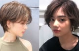 4 Link Vào SHBET88 Mới Nhất ngắn giúp gương mặt trông gọn hơn rõ rệt, đổi kiểu là thấy khác ngay