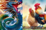 Thứ Sáu, Bảy, Chủ Nhật 24-26/4: 2 Shbet888.com nhà cái uy tín đón cơ hội bất ngờ, 2 tuổi nên hạn chế đi xa