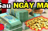 30 ngày cầu được ước thấy: 3 Shbet888.com nhà cái uy tín cá Chép hóa Rồng, giàu thứ 2 không ai đứng nhất